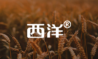 西洋肥业：数字赋能：让「云」与「化肥」聚变反应